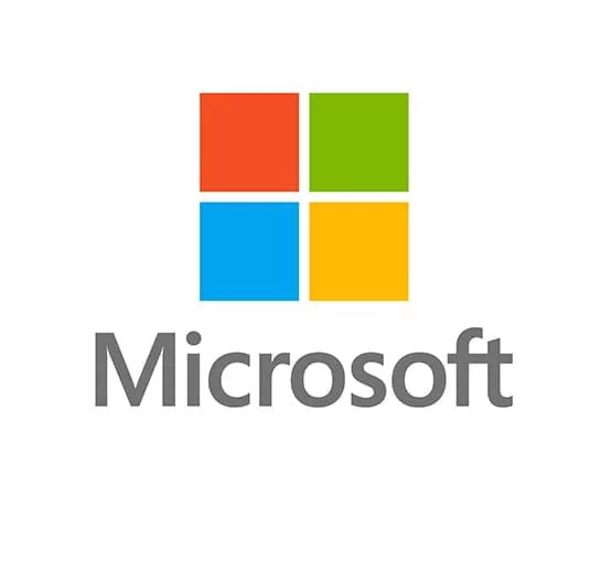 WINDOWS SERVER CAL 2019 COEM (R18-05805-LIT)