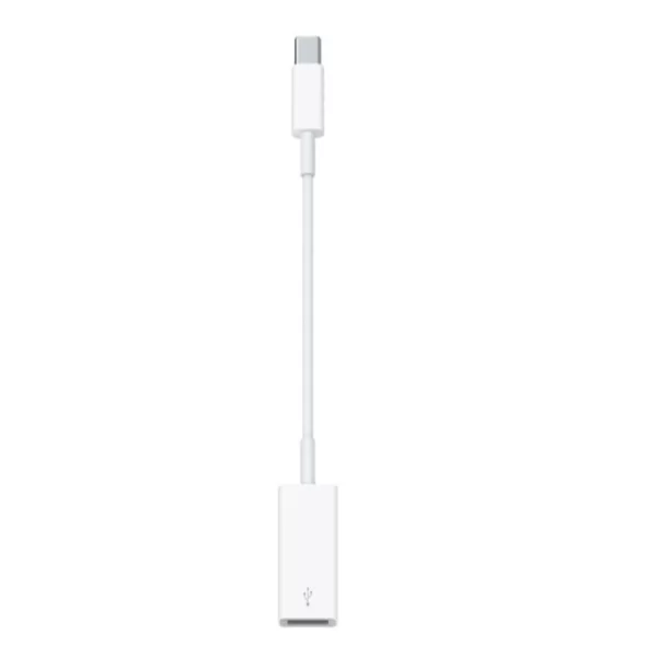 ADAPTADOR DE USB-C PARA USB (MJ1M2AM/A)